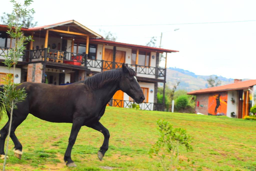 Ein schwarzes Pferd läuft vor einem Haus in der Unterkunft Rancho Tierra Firma San Miguel de Bolivar in San Miguel