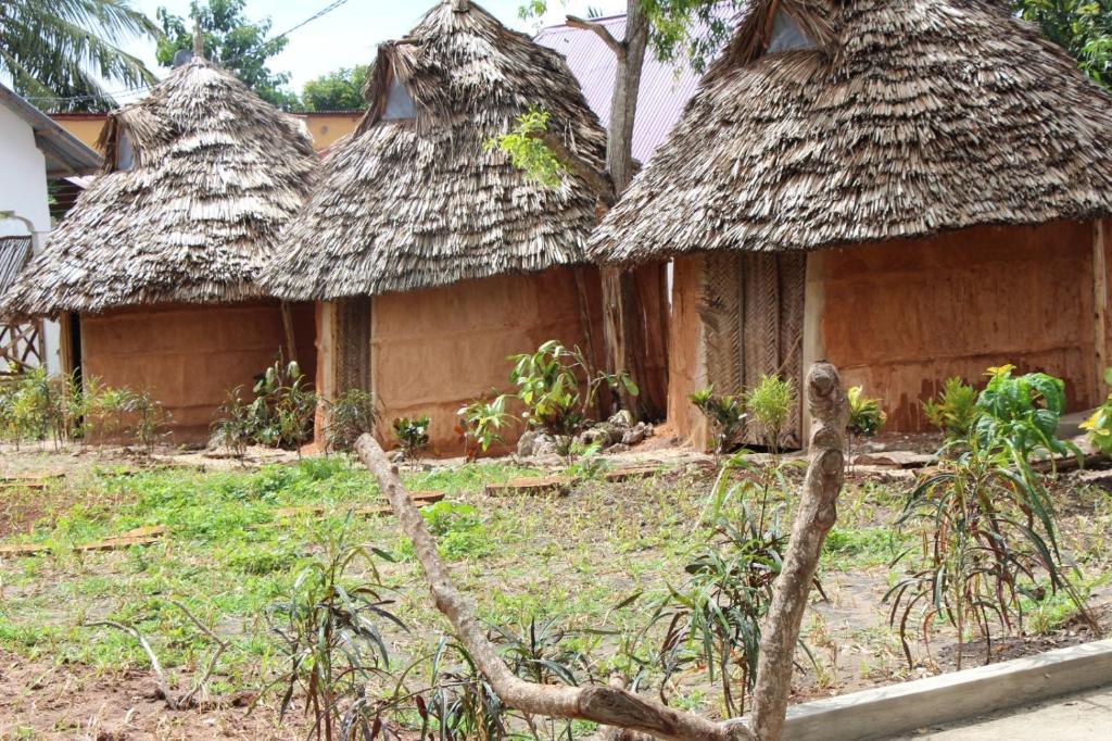 un groupe de cabanes au toit de chaume dans l'établissement Zanzigo, à Nungwi