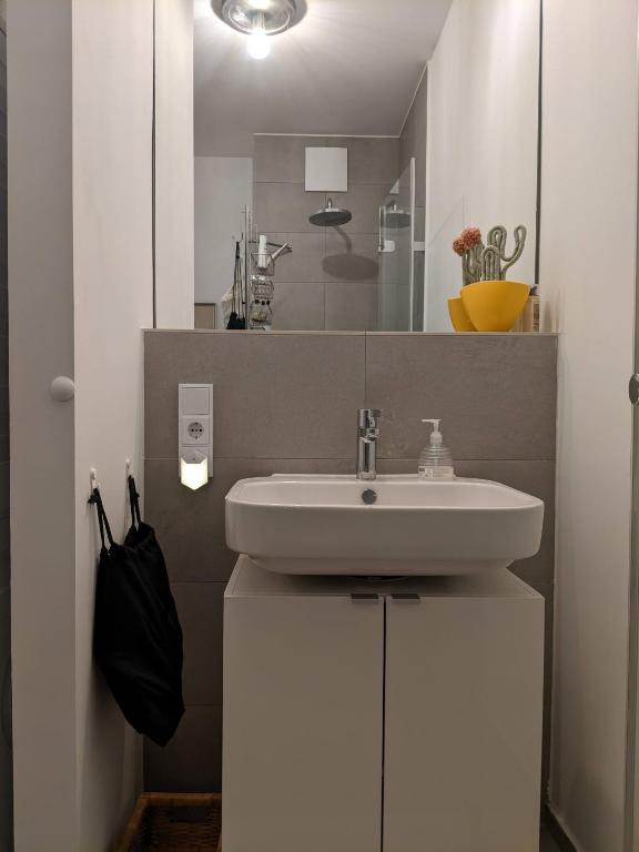 EITHER Private 2B2B OR Shared 1B1B, Luxury, Bright, Spacious - 16