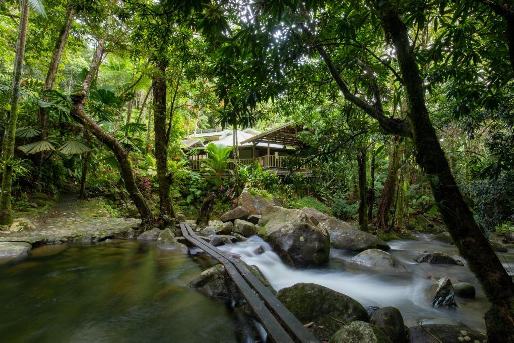 a stream in the jungle with a house in the background at Daintree Secrets Rainforest Sanctuary in Diwan