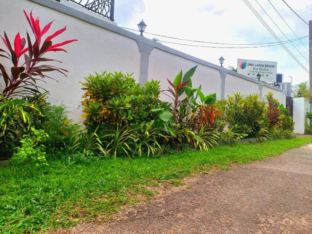 Zahrada ubytování Dinu Lanka Resort