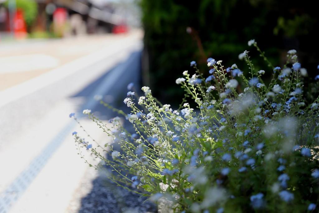 Fotografie z fotogalerie ubytování Mitsukuri Hotel v destinaci Tsuyama