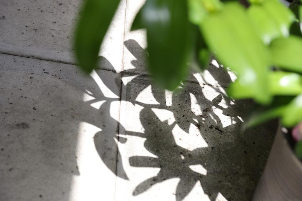 Zahrada ubytování Mitsukuri Hotel