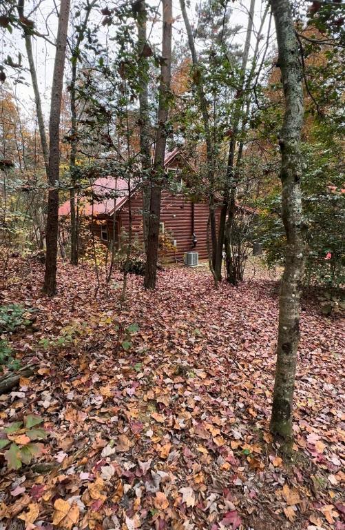 Zahrada ubytování Appalachian Mountain Cabin-Updated-Private-Rafting on Ocoee River-Hiking-Waterfalls-WiFi-Pets OK