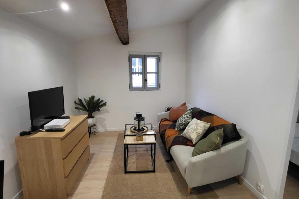 a living room with a couch and a tv at Charming studio in the historic centre in Montpellier