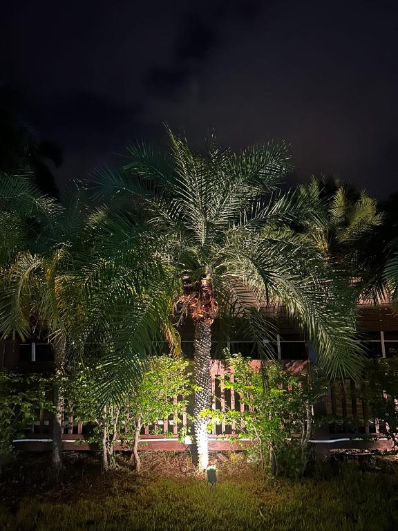 Zahrada ubytování Hua Hin Oasis