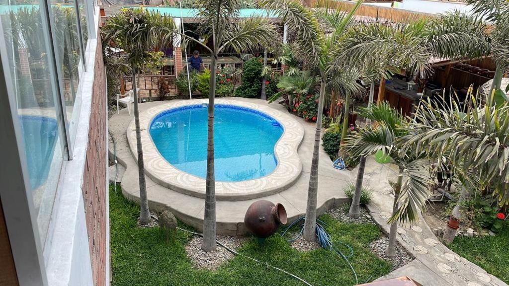 an overhead view of a swimming pool with palm trees at Villa Del Solar in Asia