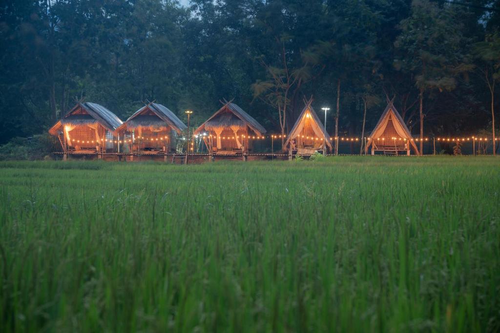 eine Reihe von Holzhütten mit Lichtern auf einem Feld in der Unterkunft Paddy Fields Haven - Natures Nest in Pai