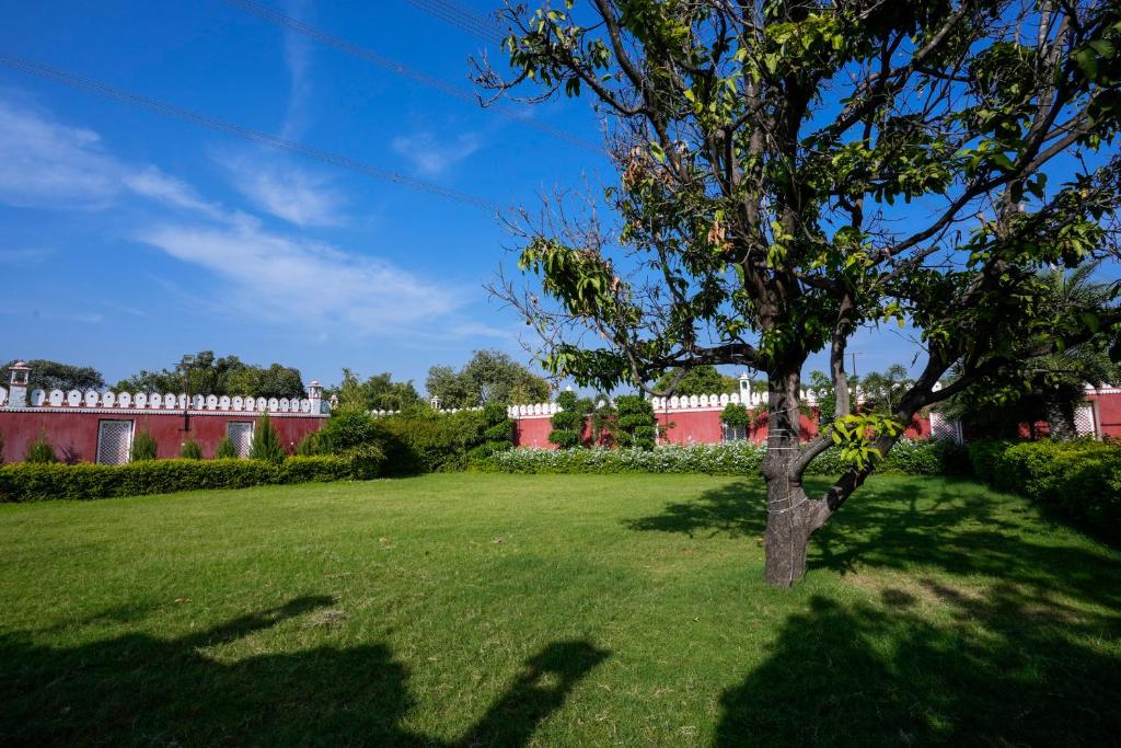 Zahrada ubytování Bageecha Resort