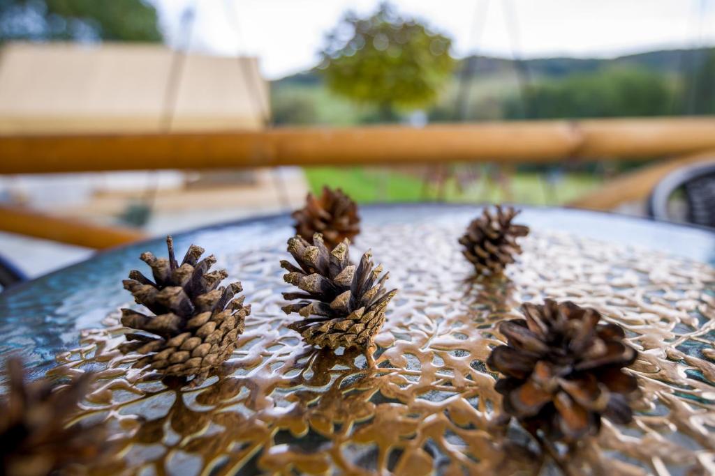 Vonkajšia záhrada v ubytovaní Glamping Pod Gwiazdami