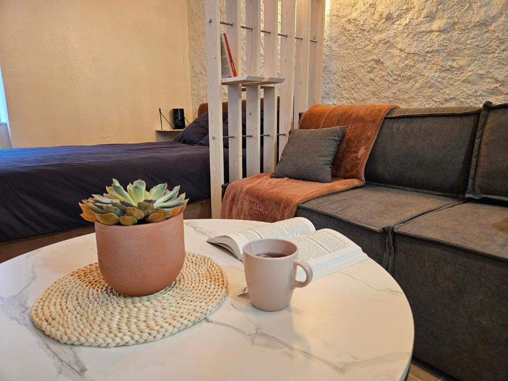 a coffee table with a cup of coffee and a plant on it at Charmant studio proche du temple in Vienne