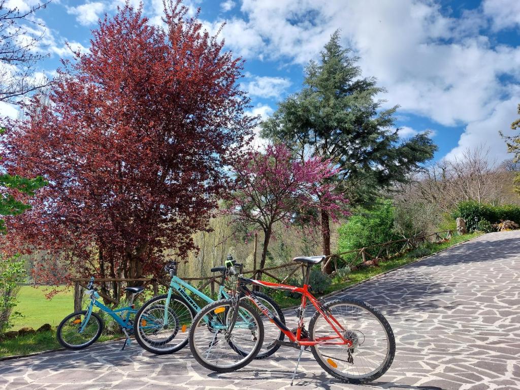 Jízda na kole v ubytování Il Ciottone nebo okolí