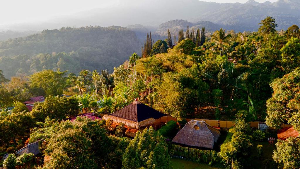 an aerial view of a house in a forest at Rinjani Lighthouse in Senaru