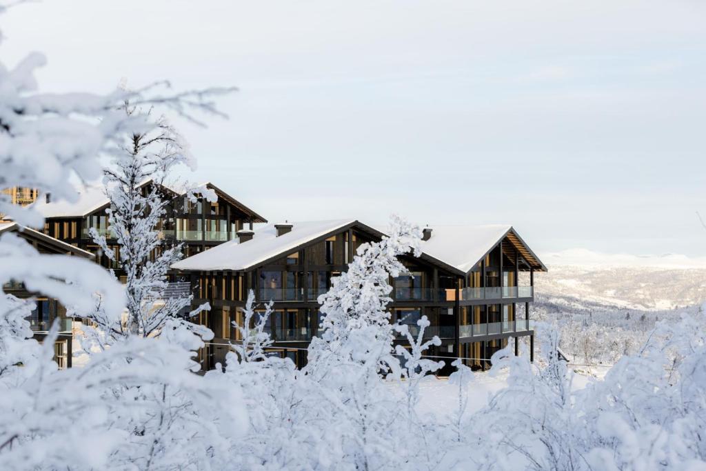 Kikut Alpin Lodge Ski in - Ski out v zimě