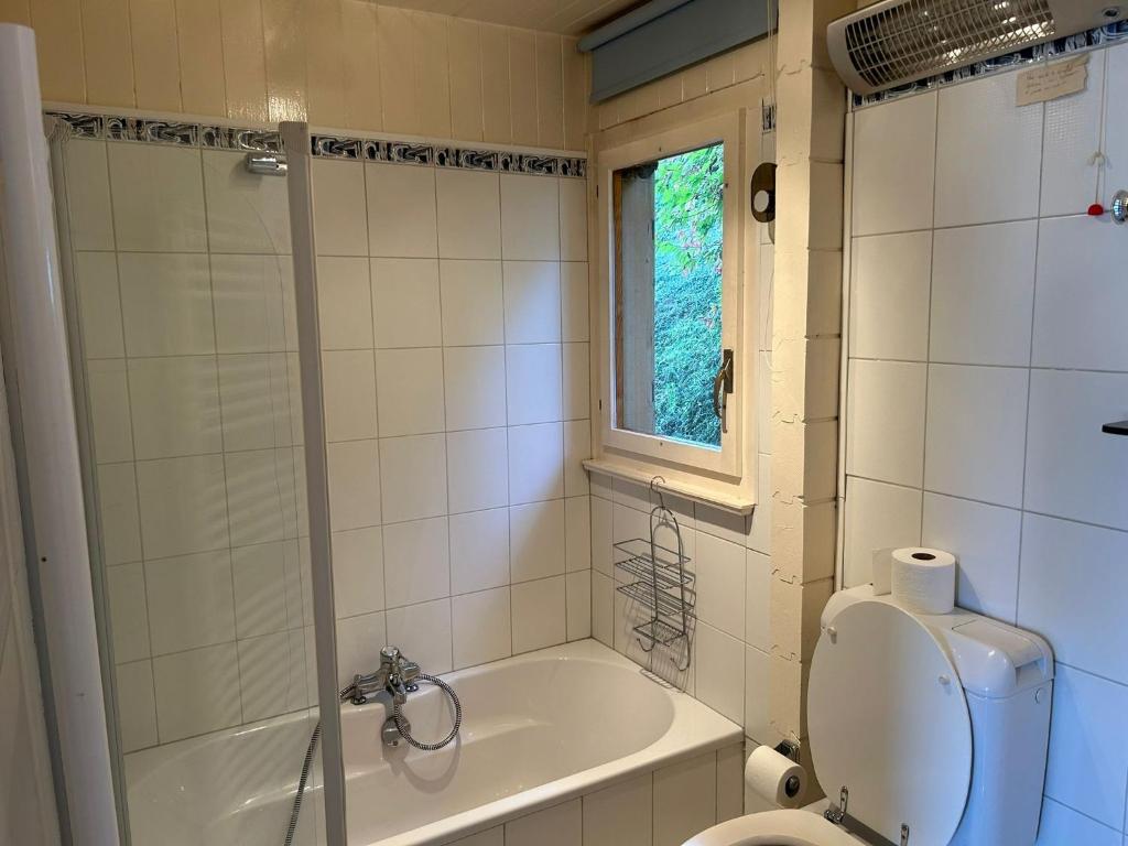 a bathroom with a tub and a toilet and a window at Les Trembles MOUNTAIN & QUIET chalet 12 pers in Veysonnaz