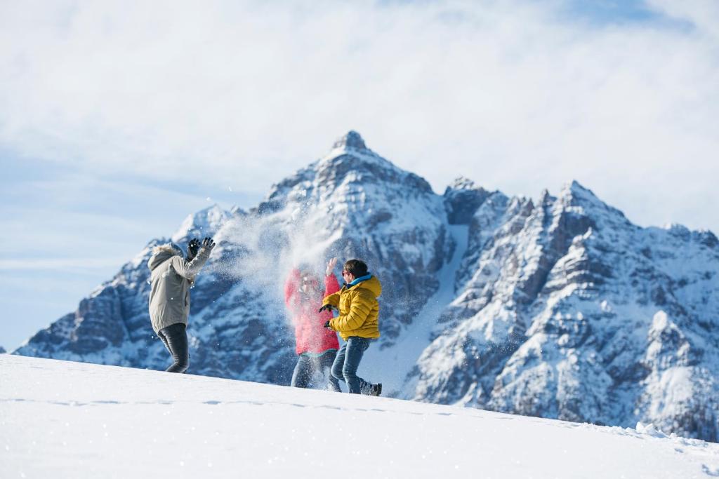 Hosté ubytování Alpenhaus Monte