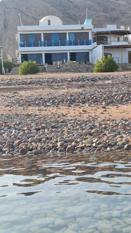 a building on a rocky beach with water in front at villa haroun in Dahab