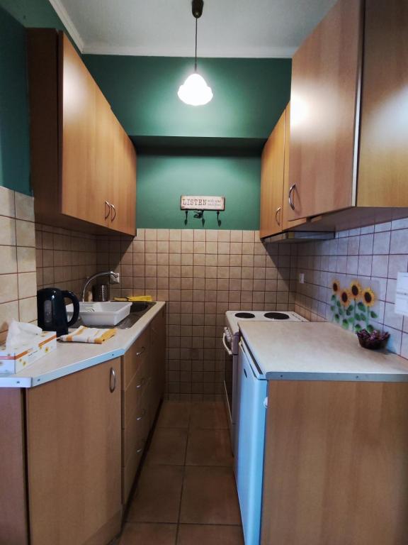 Kuchyň nebo kuchyňský kout v ubytování Kastalia Country Home