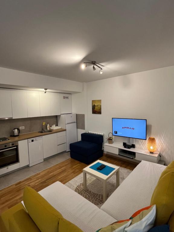 een woonkamer met een bank en een tv bij Modern Rajcikk Apartment nearby downtown & Vardar river in Skopje