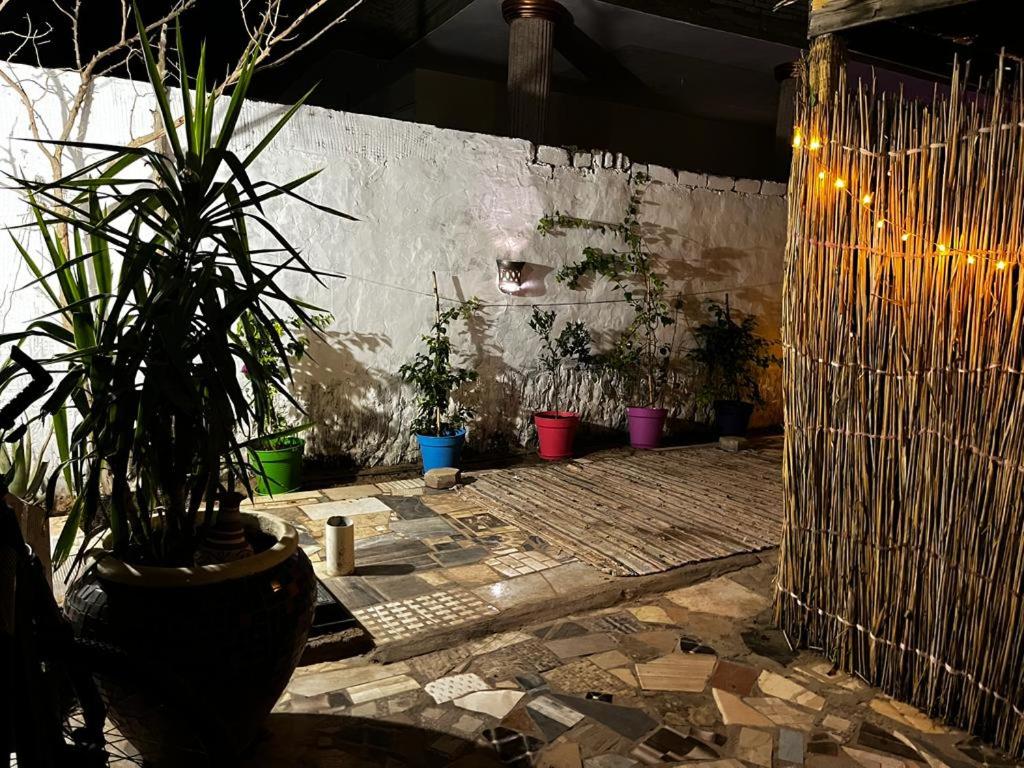 una stanza con piante in vaso e un muro di Haven Hideaway - The Summer Moon House a Dahab
