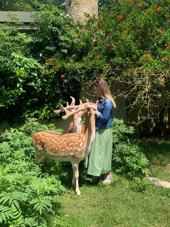 una mujer está de pie junto a un ciervo falso en Polonezköy Country Club & Accommodation in the Wildlife Park!, en Beykoz