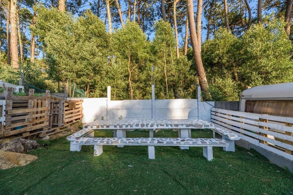 Zahrada ubytování BurbujasBalbuena, interpretación de la vía láctea