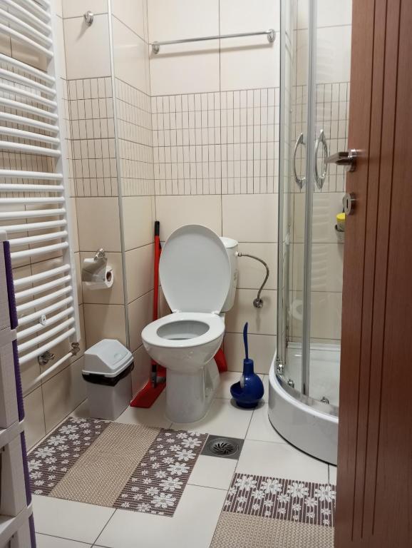Koupelna v ubytování Apartman Radmanovac