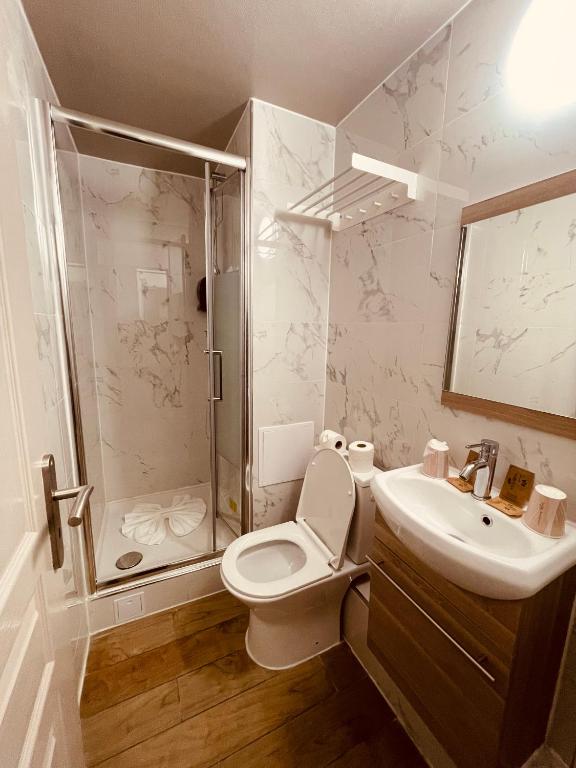 a bathroom with a toilet and a shower and a sink at Pavillon Opéra Lafayette in Paris