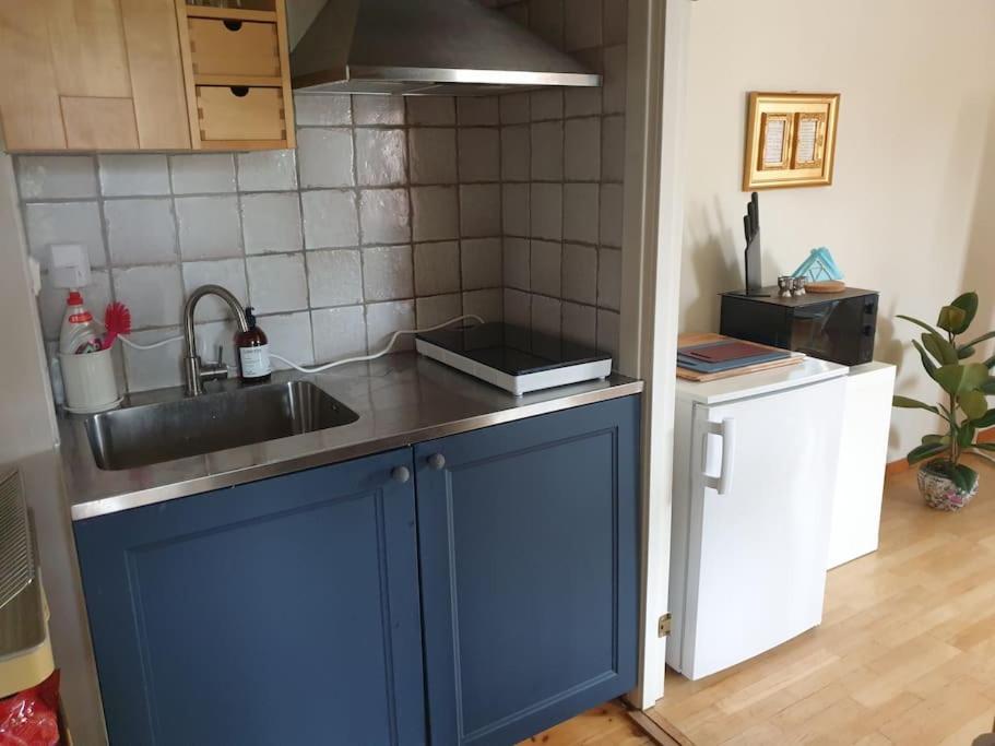 eine Küche mit einer Spüle und einer Arbeitsplatte in der Unterkunft Centrala stan Hel 2 rums Gästsvit in Umeå