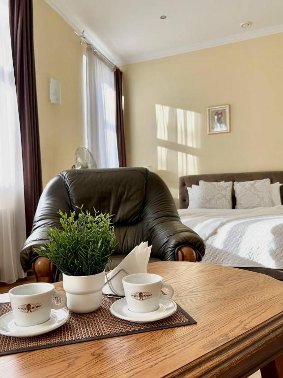 Postel nebo postele na pokoji v ubytování Apartamenti DVINSKA
