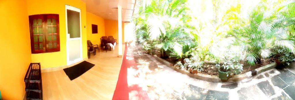 Zahrada ubytování Palitha Homestay