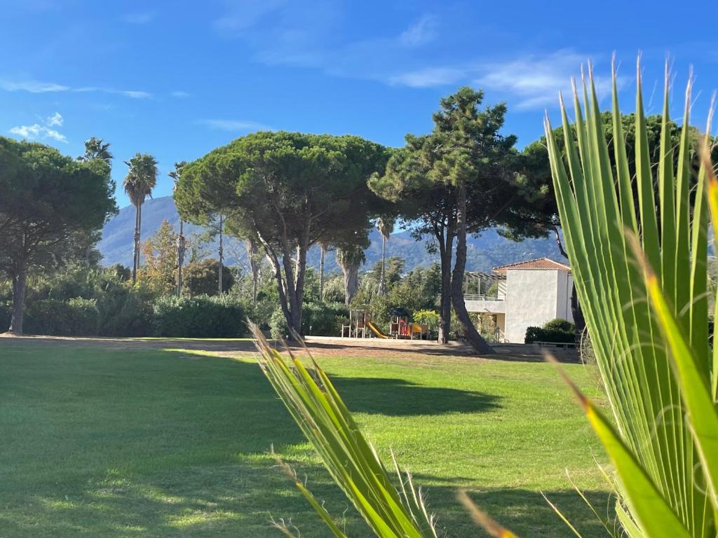 un champ d'herbe planté d'arbres et une maison dans l'établissement Corsica Poggio, à Poggio-Mezzana