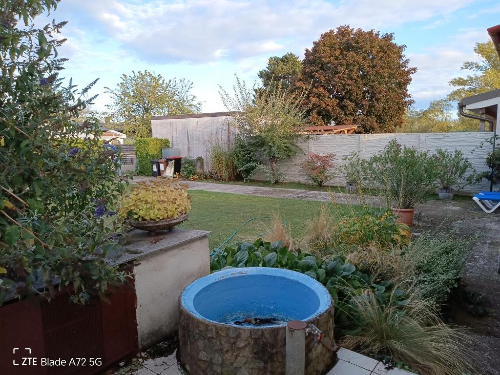 A garden outside Ferienhaus Sonnenweg
