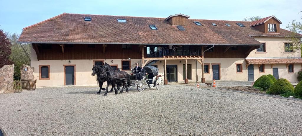 Jízda na koni v hotelu nebo okolí