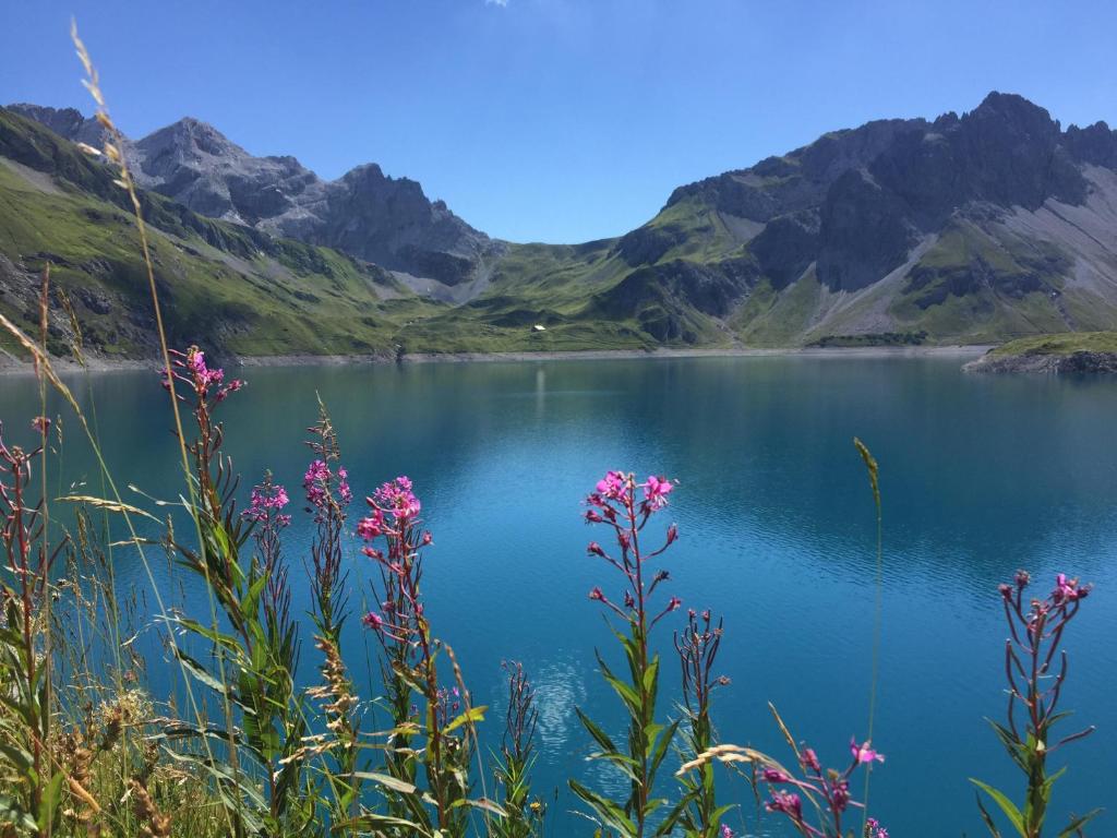 a view of a mountain lake with pink flowers at Haus Rätikon in Brand
