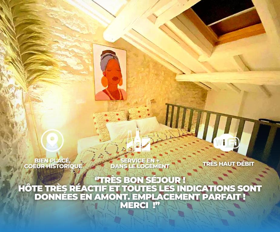 un letto a baldacchino in una camera con letto di Cocon à Deux Pas des Arènes - Charme & Confort a Nîmes