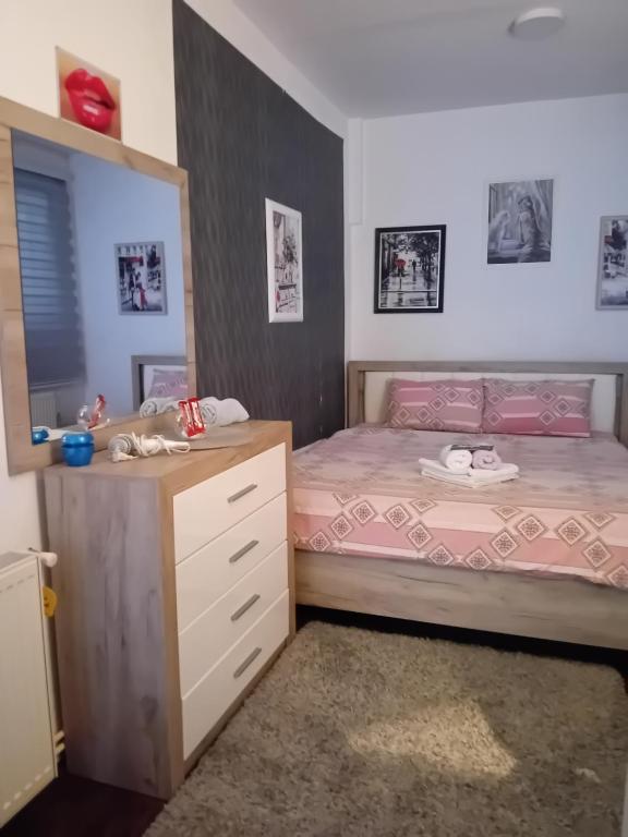 Schlafzimmer mit einem Bett, einer Kommode und einem Spiegel in der Unterkunft Apartman Park Kragujevac in Kragujevac