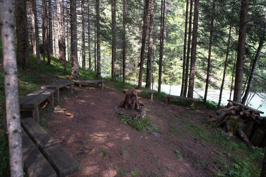 a group of wooden benches in a forest at Ferienhaus zur Hackenschmiede in Mauterndorf