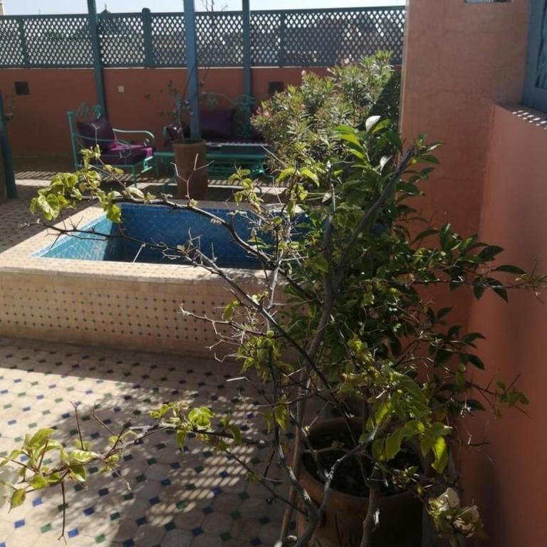 Zahrada ubytování Dar 14 Marrakech