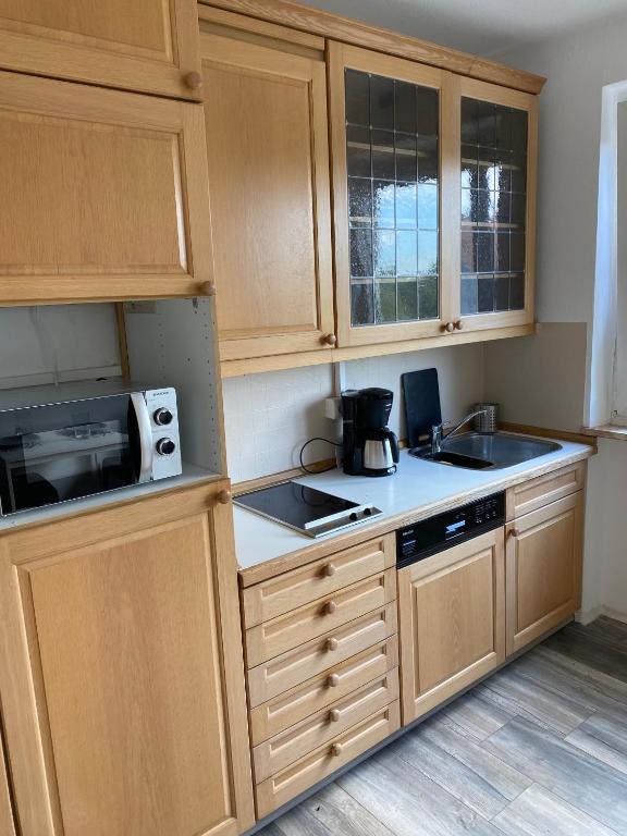 Kuchyň nebo kuchyňský kout v ubytování Apartmenthaus Selbitz