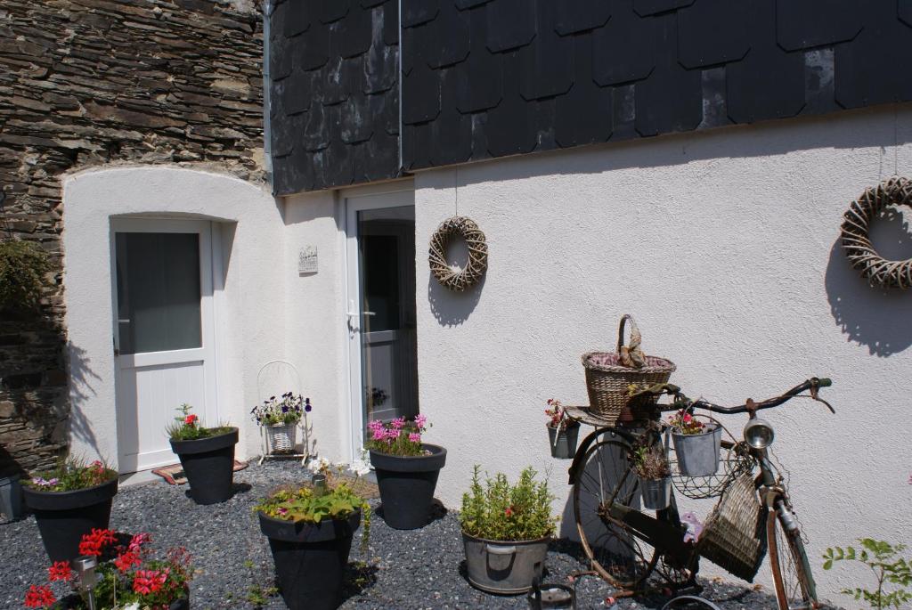 Zahrada ubytování Le gîte de l Ourthe
