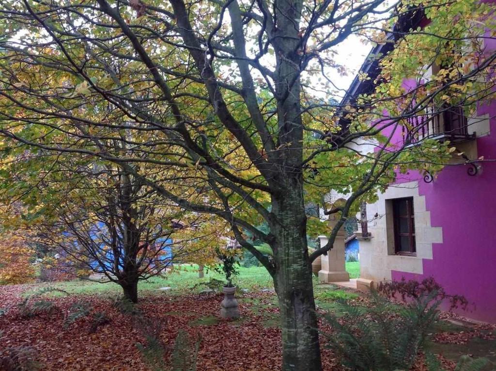 Zahrada ubytování Apartamentos Arcadia