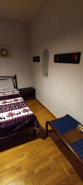 Quiet - Comfortable apartment 33sqm Pagrati Athens - 一居室公寓