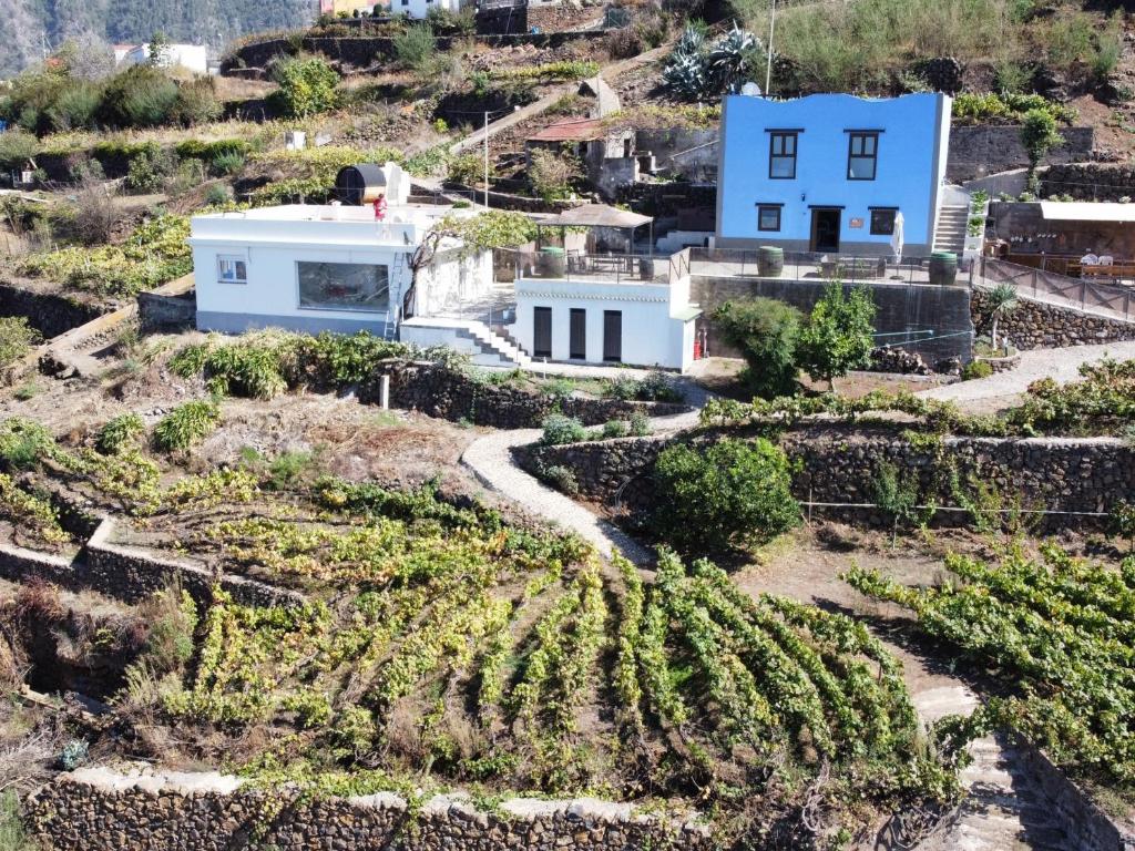 ein Haus auf einem Hügel mit einem Bauernhof in der Unterkunft EK Teide Finca el Milagro in La Orotava
