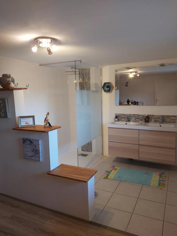 a large kitchen with a glass shower and a counter at Les Bessonnes in Saint-Georges-Haute-Ville