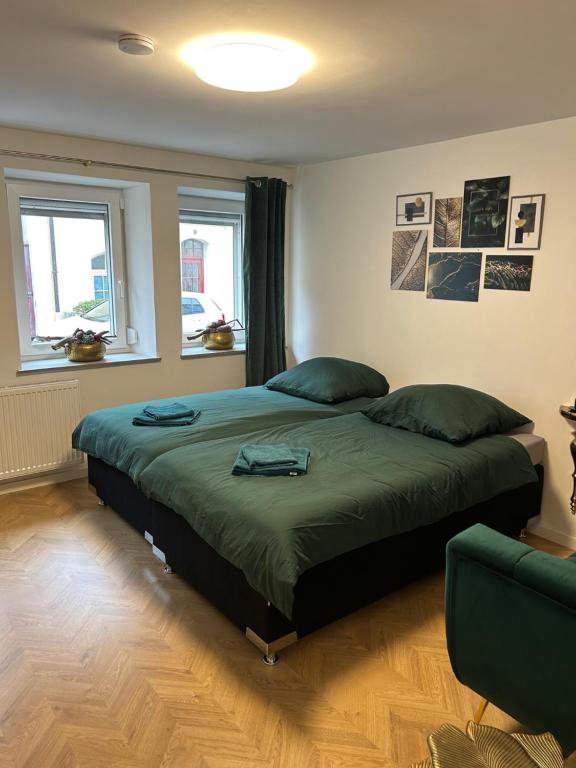 1 dormitorio con 1 cama verde grande en una habitación en Neu Ⅰ Ⅰ 2-Zimmer Ⅰ Zentrumslage Ⅰ Schwabach Ⅰ Nürnberg Ⅰ Roth, en Schwabach
