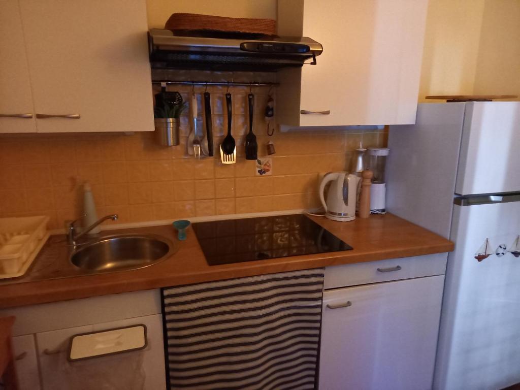 Kuchyň nebo kuchyňský kout v ubytování Vacation House Sara&Noa