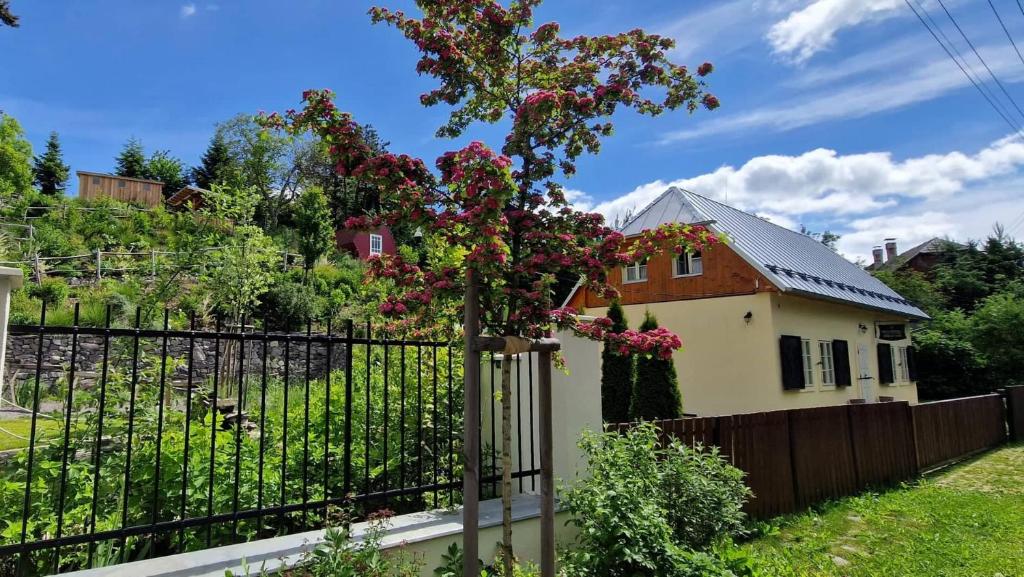 a fence with a tree in front of a house at Siglisberg in Banská Štiavnica