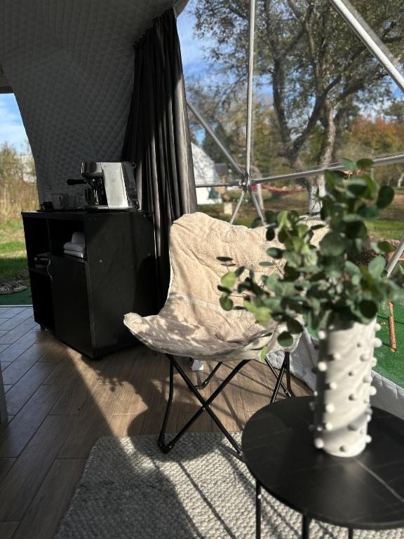 Fotografie z fotogalerie ubytování The Frog Glamping v destinaci Horezu