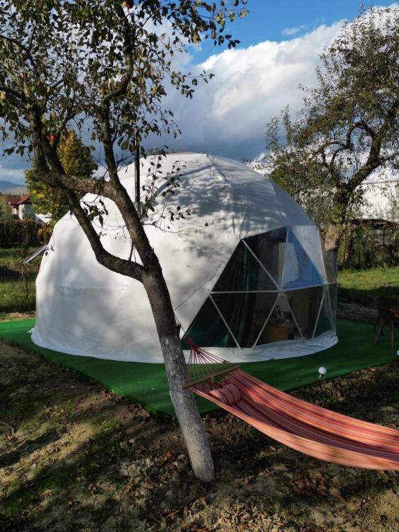 Zahrada ubytování The Frog Glamping